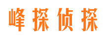 景东找人公司